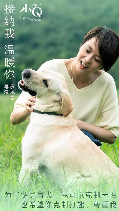 皇家艺术学院学位证电子图